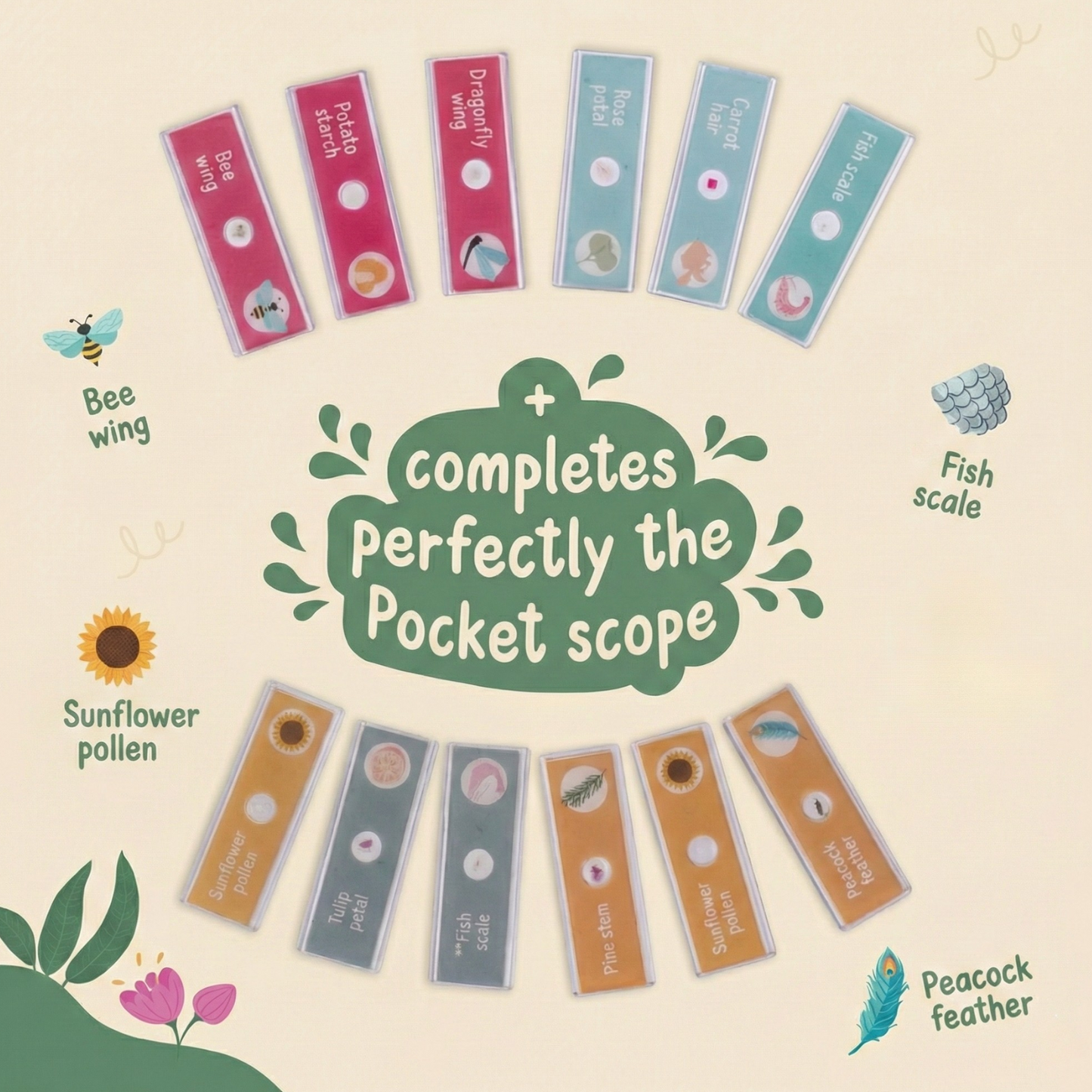 Pocket scope slides