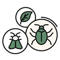 Choose your treasure