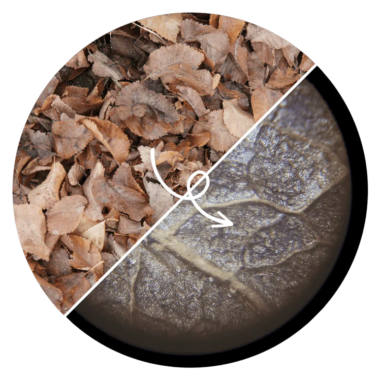 Much more than just a toy